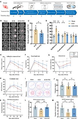 Pterostilbene attenuates microglial inflammation and brain injury after intracerebral hemorrhage in an OPA1-dependent manner